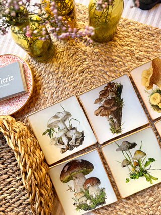 Pack Bolets – Edición de temporada